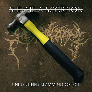 She Ate A Scorpion : Unidentified Slamming Object